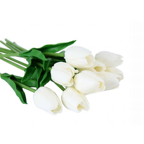 Habgumi Tulipán (fehér)