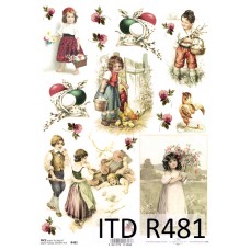 ITD-R0481