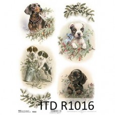 ITD-R1016