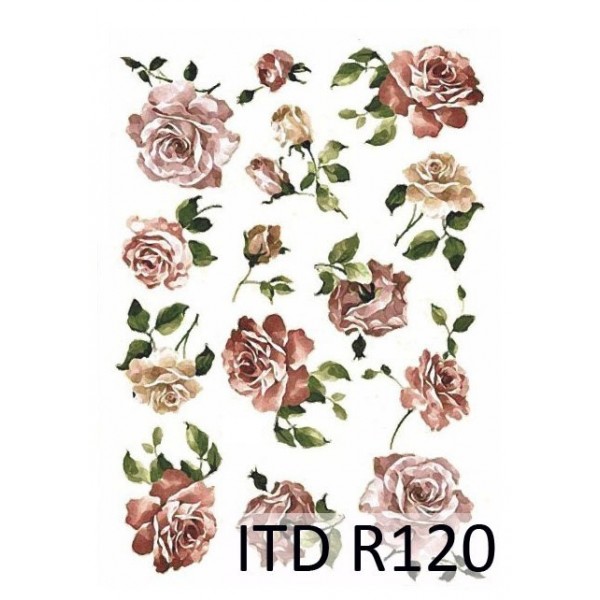 ITD-R120