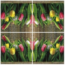 Szalvéta tulipán