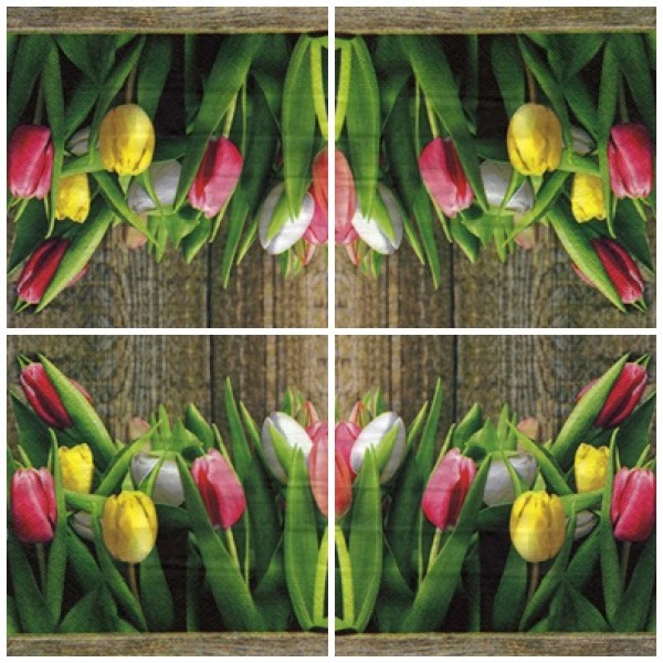 Szalvéta tulipán