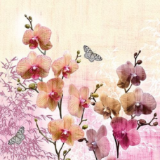 Orchidea és pillangó