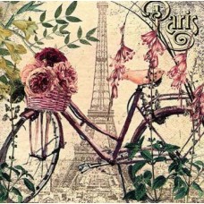 Bicikli és Párizs