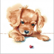 Puppy & Ladybird papírszalvéta 33x33cm
