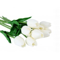 Habgumi Tulipán (fehér)