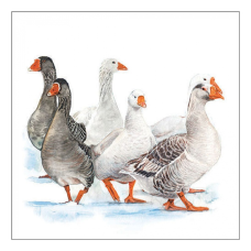 Winter geese papírszalvéta 33x33cm