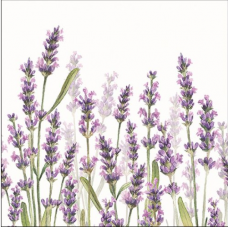 Lavender Shades white papírszalvéta 25x25cm
