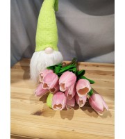Gumi tulipán-mályva